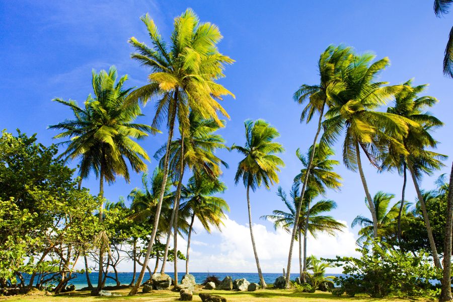 The Best Beaches in Trinidad and Tobago